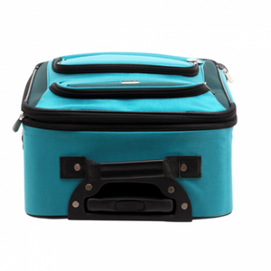 Protege Protege 2 piece expandable spinner carry on and checked luggage set Teal