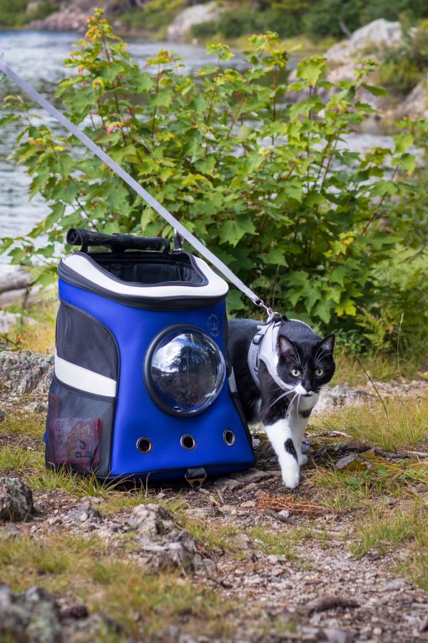 True Adventurer Cat Harness and Leash Set, Grey, Medium